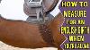 Albion Legend Padded Leather Dressage Girth Black 22 Leather Dressage Girth
